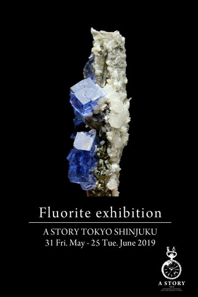 fluorite exhibition 2019